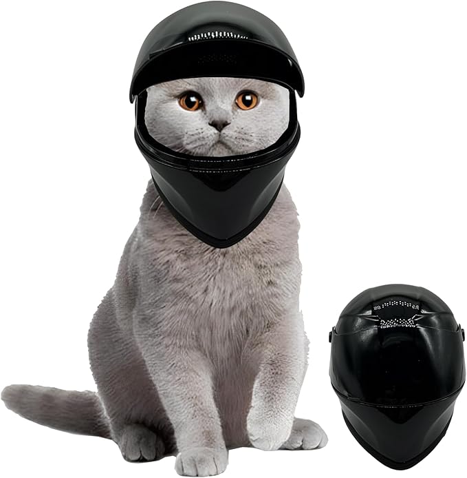 cat helmet