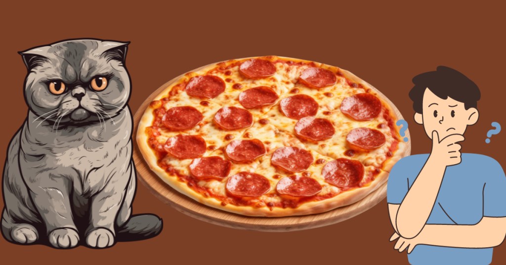 can cats eat pepperoni
